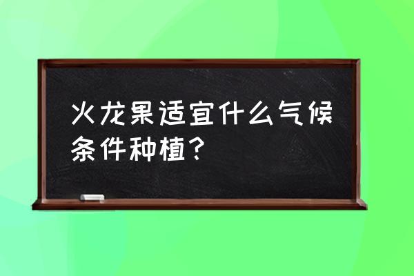 火龙果是经过加工的吗 火龙果适宜什么气候条件种植？