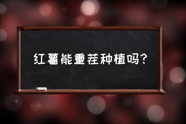 红薯死苗烂根怎么防治 红薯能重茬种植吗？