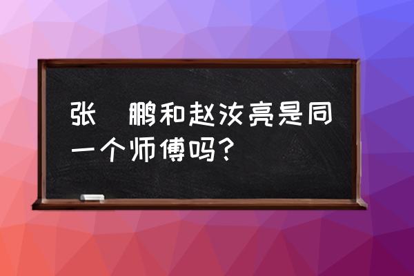 梦之队快速反击用什么阵容 张堃鹏和赵汝亮是同一个师傅吗？