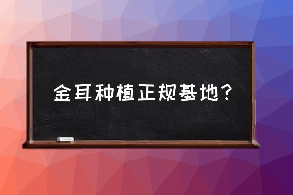 金耳菌适合哪里种植 金耳种植正规基地？