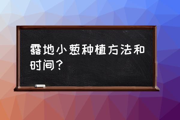 外面买的小葱如何二次种植 露地小葱种植方法和时间？