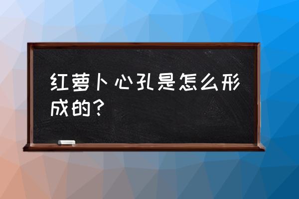 胡萝卜叶子黏土怎么做 红萝卜心孔是怎么形成的？