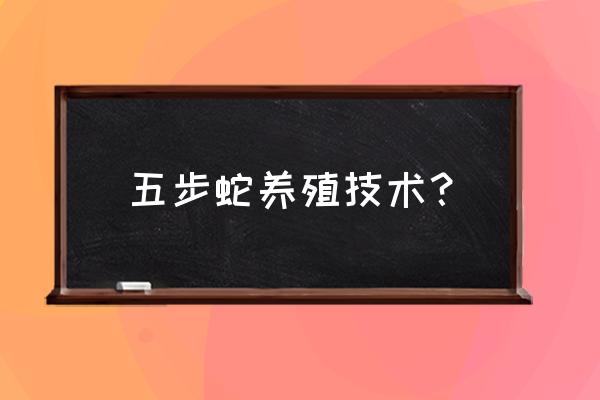 孵化小鸡如何催肥 五步蛇养殖技术？