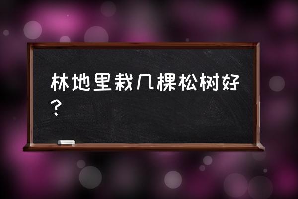 白皮松每亩能种植多少棵 林地里栽几棵松树好？