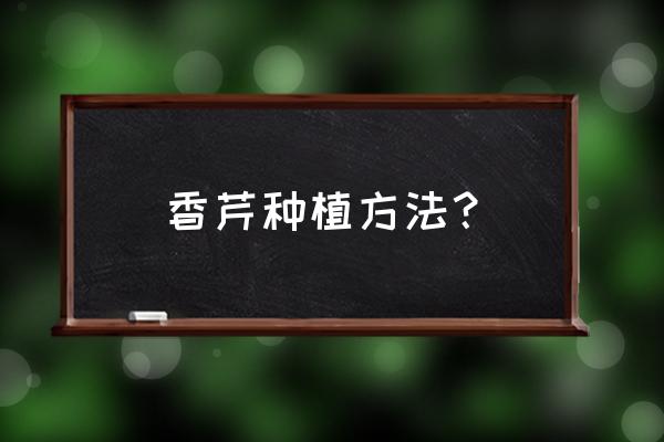 芹菜种子种植方法步骤图 香芹种植方法？