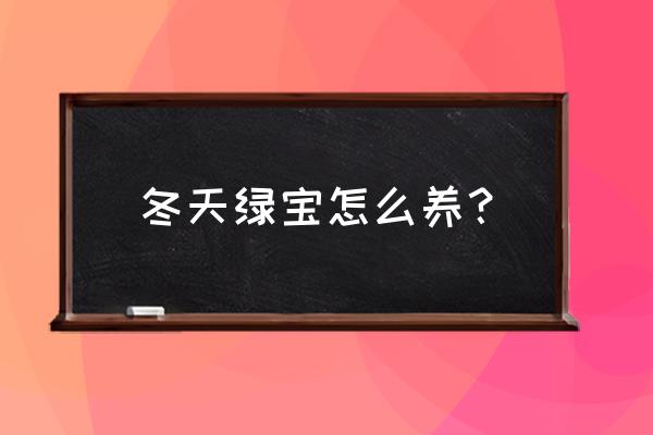 绿宝肥料是啥 冬天绿宝怎么养？