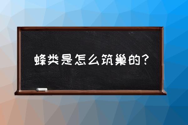 蜜蜂是怎样筑巢的 蜂类是怎么筑巢的？