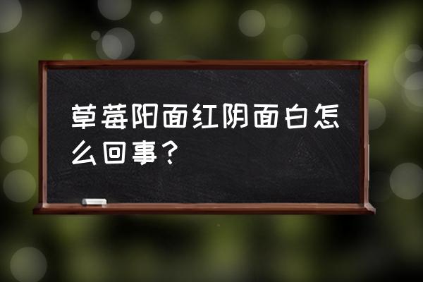 白草莓和红草莓哪个有营养 草莓阳面红阴面白怎么回事？