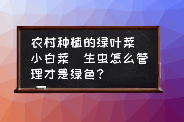 大规模绿色蔬菜种植的简单方法 农村种植的绿叶菜（小白菜）生虫怎么管理才是绿色？