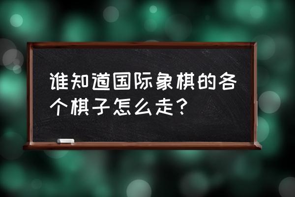 中国象棋计时是怎么规定 谁知道国际象棋的各个棋子怎么走？