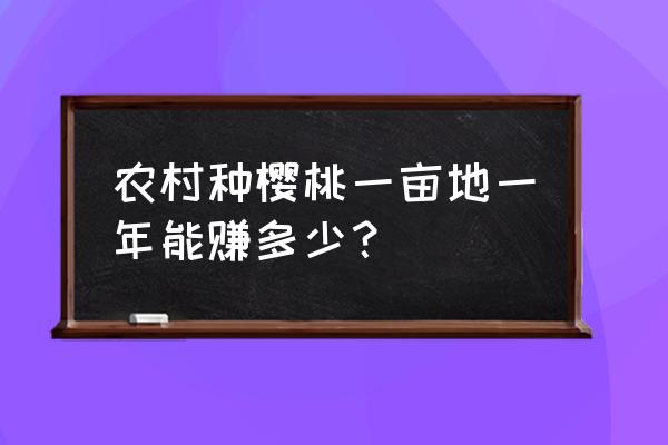 下载樱桃赚赚 农村种樱桃一亩地一年能赚多少？