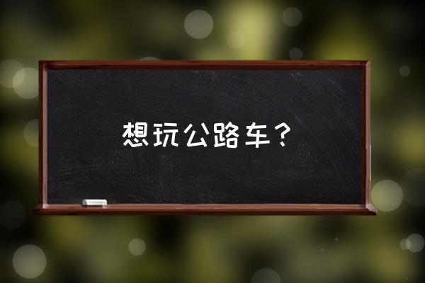 什么样的自行车最好上手 想玩公路车？