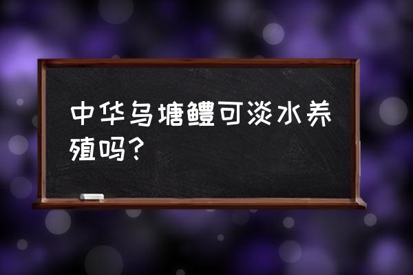 港湾养殖是淡水养殖吗 中华乌塘鳢可淡水养殖吗？