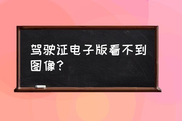 驾驶证拿到纸质可以申请电子版 驾驶证电子版看不到图像？