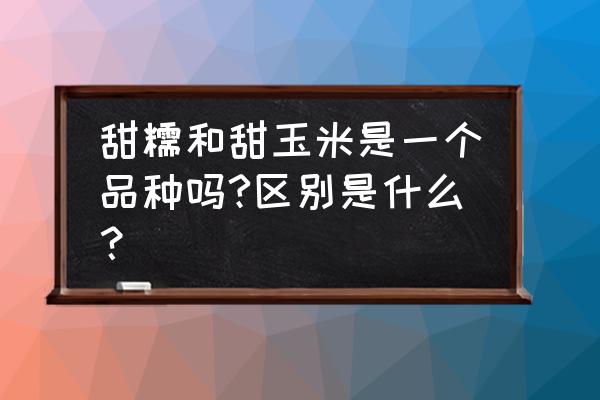 玉米甜糯 开袋即食 甜糯和甜玉米是一个品种吗?区别是什么？