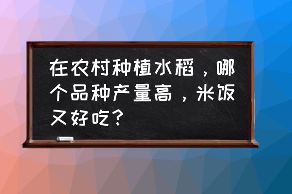 种子的包衣剂不同颜色怎么回事 在农村种植水稻，哪个品种产量高，米饭又好吃？