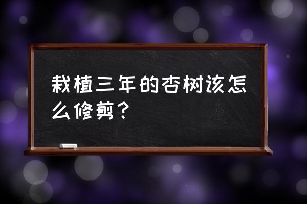 杏树三年了还不结果怎么回事 栽植三年的杏树该怎么修剪？