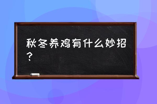 冬天散养鸡怎样喂水才能不冻 秋冬养鸡有什么妙招？