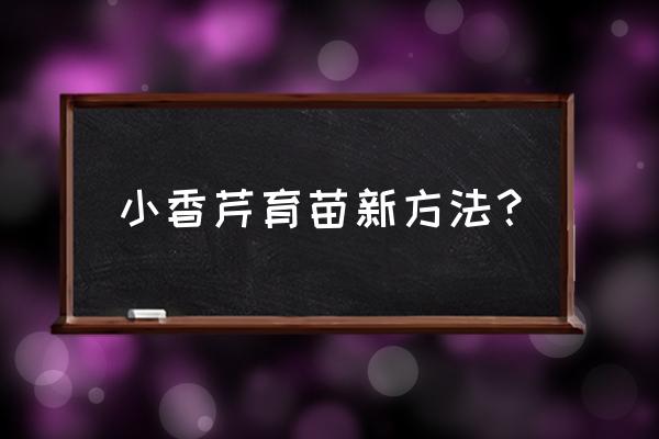 芹菜育苗的正确方法 小香芹育苗新方法？