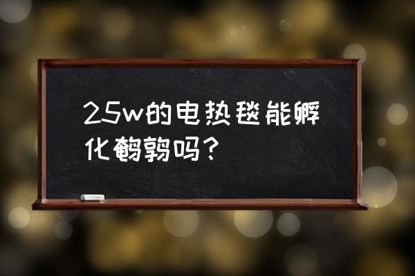 鹌鹑蛋能不能用母鸡孵化 25w的电热毯能孵化鹌鹑吗？