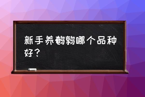 新手养鹌鹑必看方法 新手养鹌鹑哪个品种好？