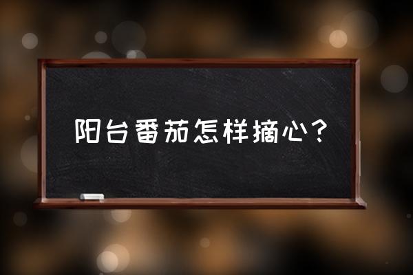 小番茄打顶的最佳方法 阳台番茄怎样摘心？