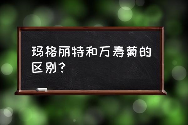 南非万寿菊种植方法和注意事项 玛格丽特和万寿菊的区别？