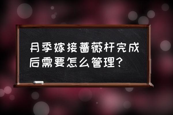 深水井水变红有办法解决 月季嫁接蔷薇杆完成后需要怎么管理？