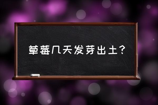 草莓发芽全过程延时摄影 草莓几天发芽出土？