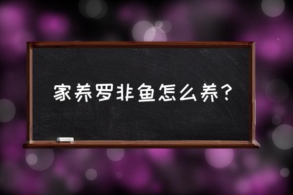 罗非鱼养殖方法和技术 家养罗非鱼怎么养？