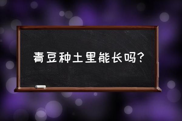 种青豆的方法和步骤 青豆种土里能长吗？