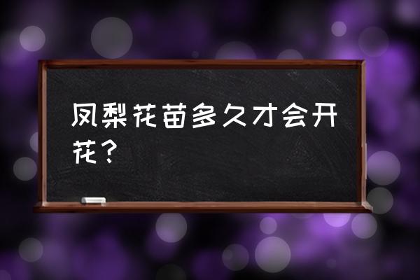 菠萝叶子水培开花图片大全 凤梨花苗多久才会开花？