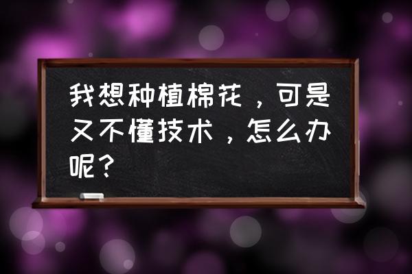 用粘土做馅饼 我想种植棉花，可是又不懂技术，怎么办呢？