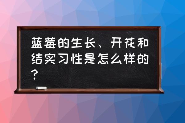 丹东蓝莓基地大棚 蓝莓的生长、开花和结实习性是怎么样的？