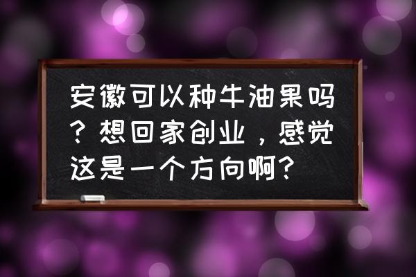 适合在安徽地区种植的果树 安徽可以种牛油果吗？想回家创业，感觉这是一个方向啊？