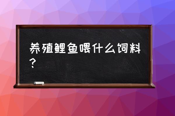 鲤鱼的饲料有哪些 养殖鲤鱼喂什么饲料？