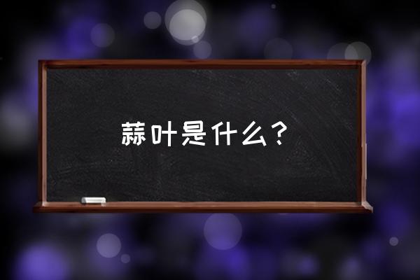 大蒜叶怎么种植 蒜叶是什么？