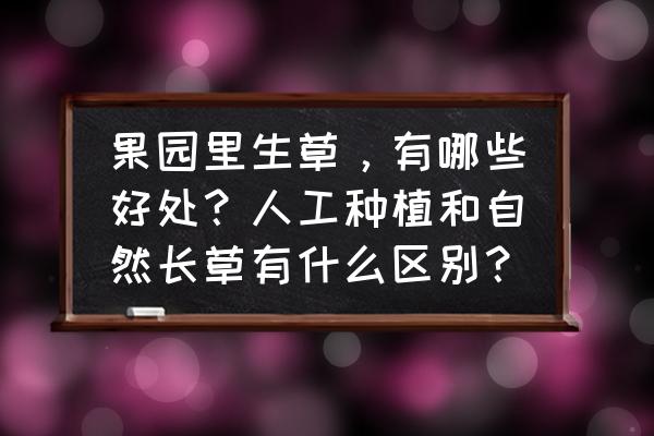 天然的肥料有什么好处 果园里生草，有哪些好处？人工种植和自然长草有什么区别？