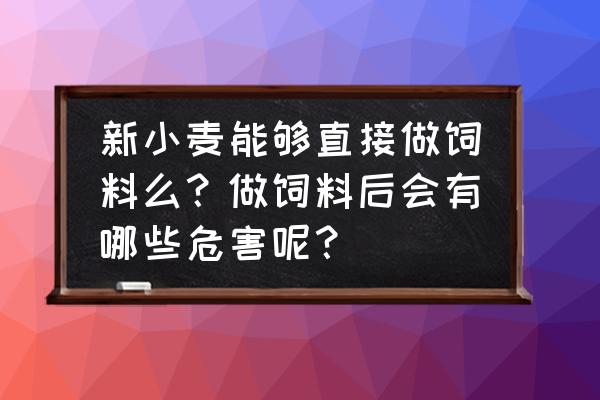 麦子为什么不能直接食用 新小麦能够直接做饲料么？做饲料后会有哪些危害呢？