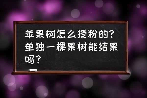 苹果花自然授粉有几种方法 苹果树怎么授粉的?单独一棵果树能结果吗？