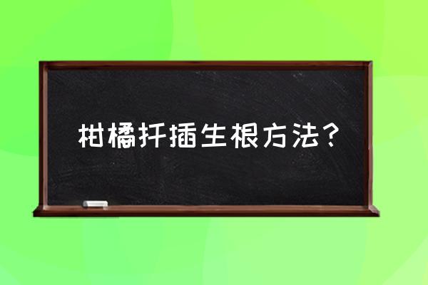 橘子种子催芽方法 柑橘扦插生根方法？