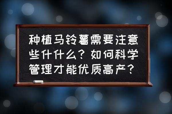 土豆病害防治小妙招 种植马铃薯需要注意些什什么？如何科学管理才能优质高产？