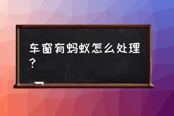 车内很多蚂蚁怎么解决 车窗有蚂蚁怎么处理？