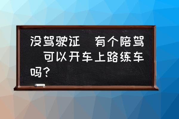 新手开车需要陪伴么 没驾驶证(有个陪驾)可以开车上路练车吗？