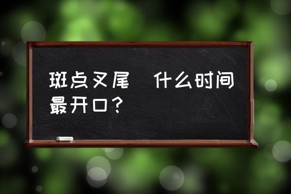 叉尾鱼最佳下苗时间 斑点叉尾鮰什么时间最开口？