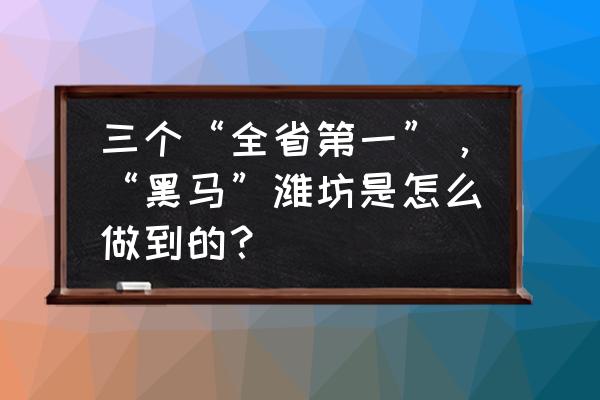 申请养牛的立项报告怎么写 三个“全省第一”，“黑马”潍坊是怎么做到的？