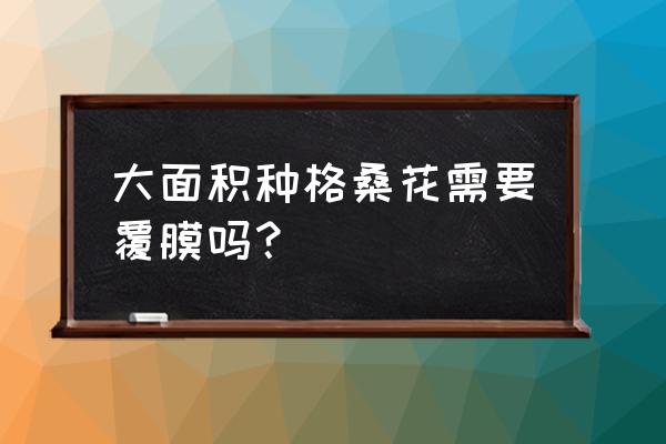 格桑花种子哪里有卖 大面积种格桑花需要覆膜吗？