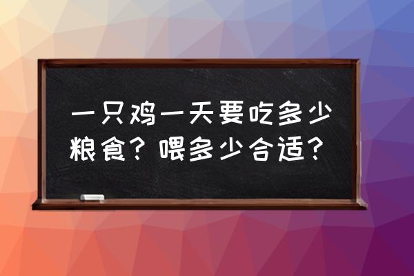 土鸡养殖吃什么最好 一只鸡一天要吃多少粮食？喂多少合适？