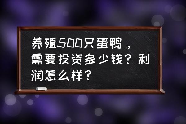 现在养殖蛋鸭有前途吗 养殖500只蛋鸭，需要投资多少钱？利润怎么样？