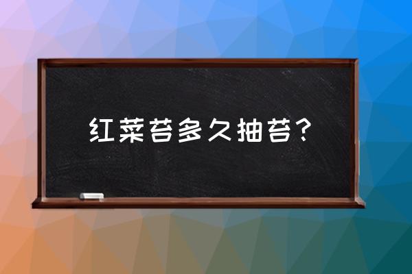 红菜苔几月下种子 红菜苔多久抽苔？